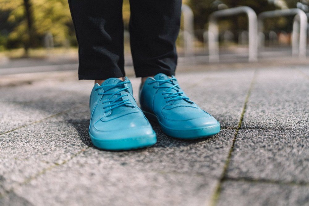 IVIQ Blue